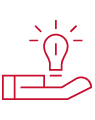 solution icon