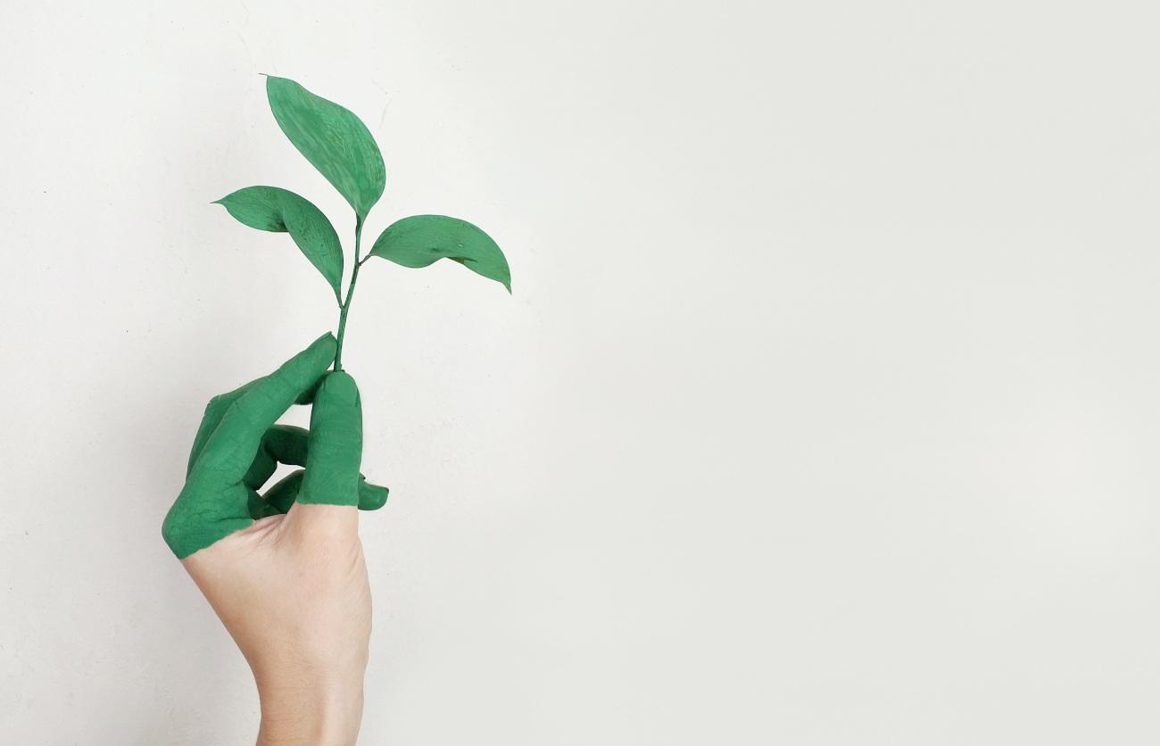 bonos verdes